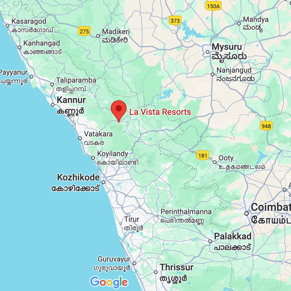 The Best Resort in Wayanad